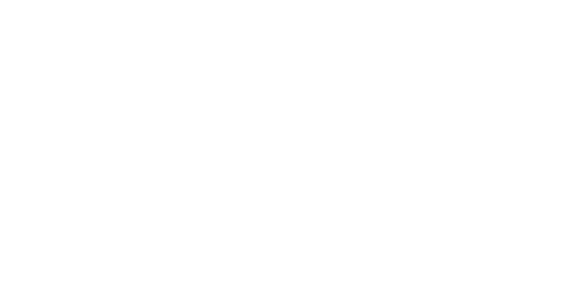 Schiavello Negative Logo